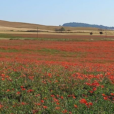 Appartamento Con Vista Panoramica Pienza Exteriör bild