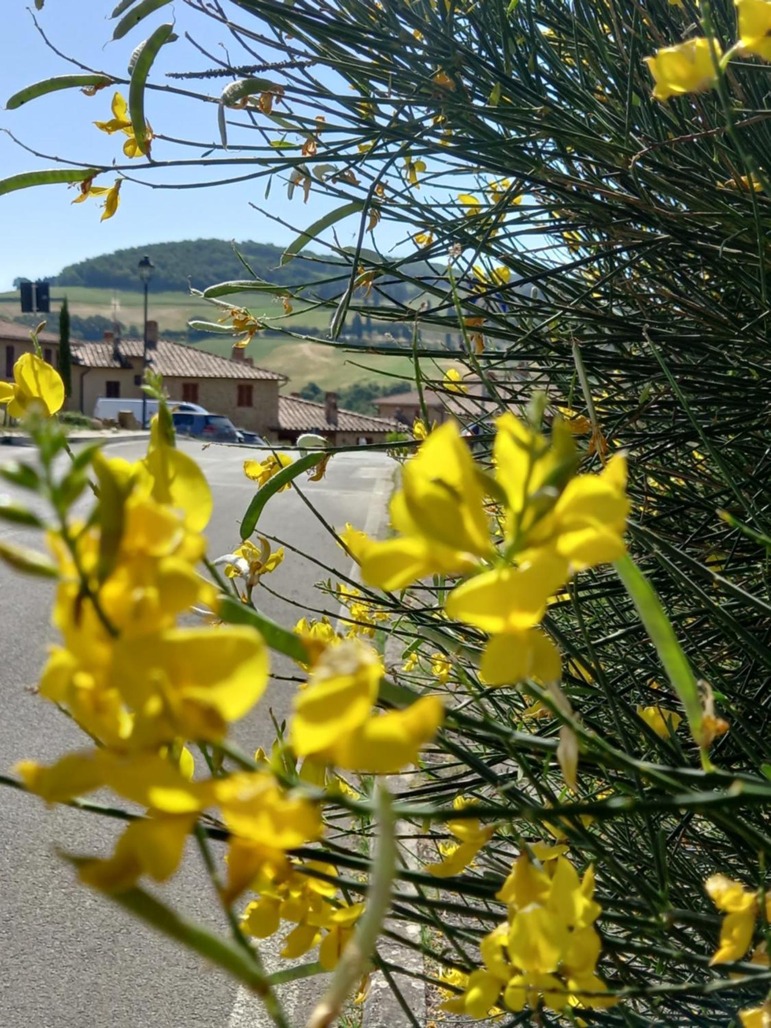 Appartamento Con Vista Panoramica Pienza Exteriör bild